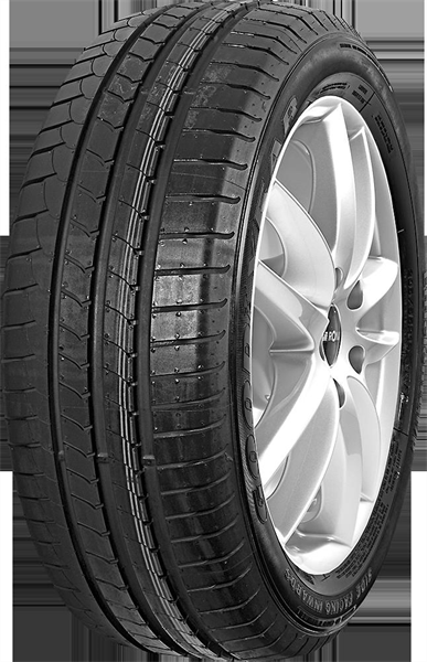Goodyear EFFICIENTGRIP 205/55 R16 91 V TO