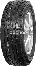 Nokian WR C3 215/70 R15 109/107 S C