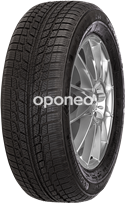 Sunny SN3830 255/40 R19 100 V XL