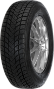 Nahaufnahme der Lauffläche Mastersteel WINTER + W1 155/80 R13 79 T